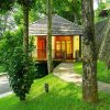 Forest Canopy Thekkady