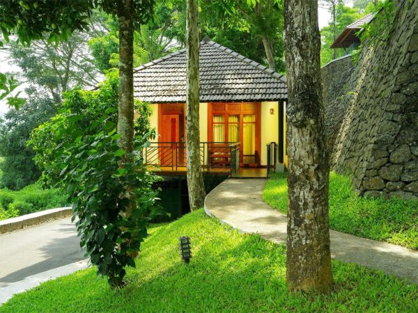 Forest Canopy Thekkady