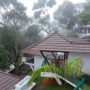 Forest Canopy Thekkady - Image 10