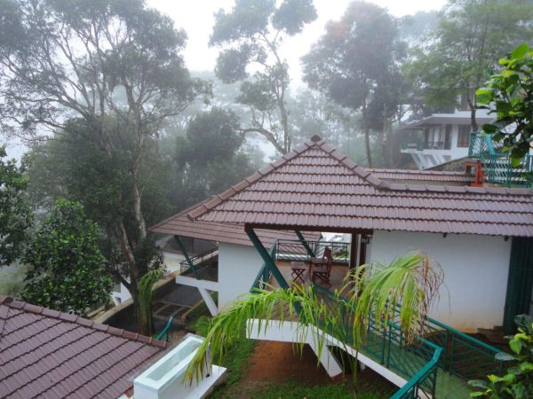 Forest Canopy Thekkady - Image 10