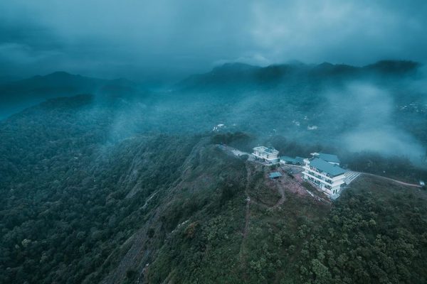 Forest County Munnar - Image 2