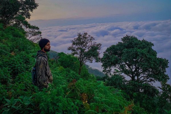 Forest County Munnar - Image 3