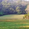 One bedroom glass villa in Wayanad - Image 9