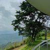 Haze and Kites Resort - Kondody Hotels - Image 4