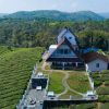 The Highlander Vagamon - Image 2
