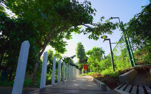 Iron Bridge Cove - Image 31