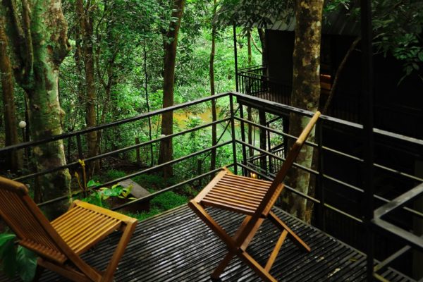 Jungle Beats Resorts - Image 7