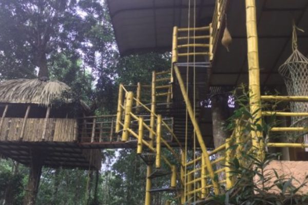 Jungle Jive Tree House - Image 7