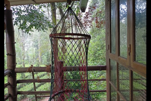 Jungle Jive Tree House - Image 8