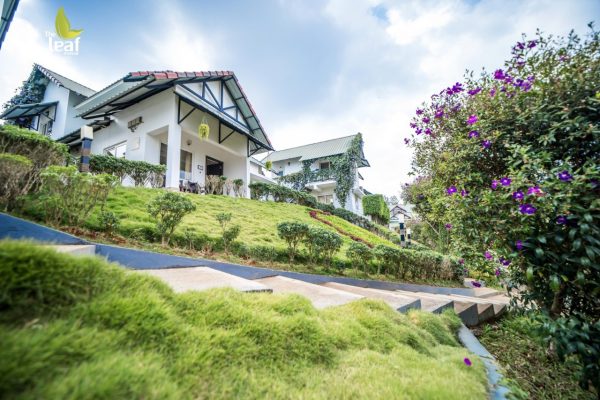 The Leaf Munnar Resort - Image 6