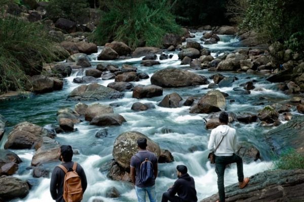 Luxury tent camping In Munnar - Image 2