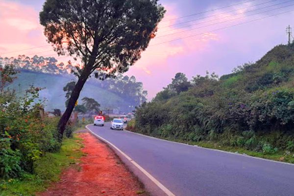 Munnar Brindavan Cottage - Image 12