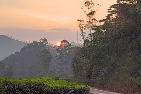 Munnar Brindavan Cottage - Image 13