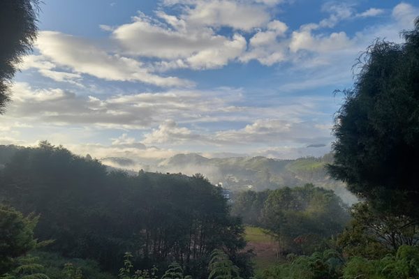 Munnar Brindavan Cottage - Image 3