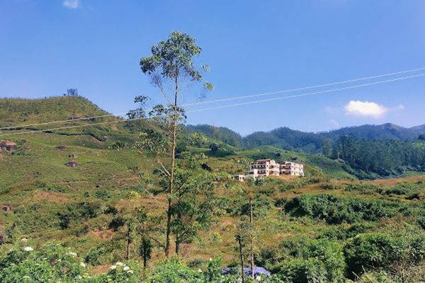 Munnar Brindavan Cottage - Image 10