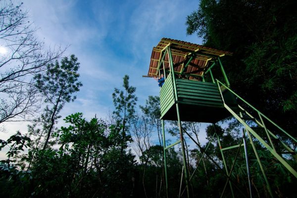 Treehut with Private Pool (Coffee County) - Image 4