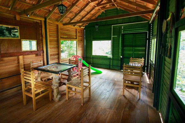 Treehut with Private Pool (Coffee County) - Image 5