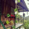 Noah's Nest Tree House - Image 12