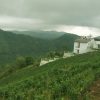 Vagamist Resort - Image 4