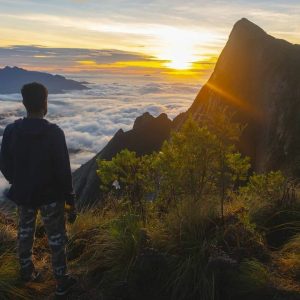 Kolukkumalai Sunrise Jeep Safari - Book My Kerala Trip