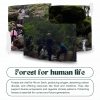 Bungalow stay in 900 Kandi Forest Wayanad - Image 10