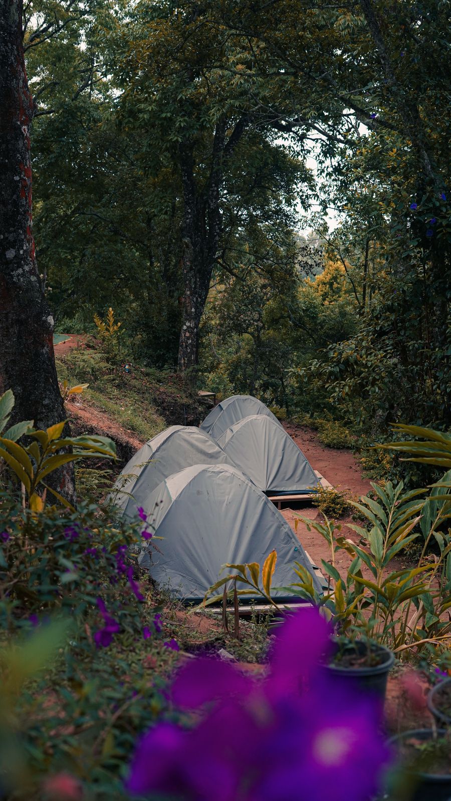 Tent Stay