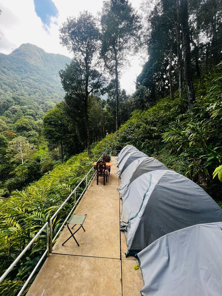 Camping Tent