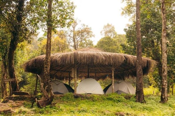 Tent