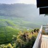 Zero Degree Jungle Resort - Image 5