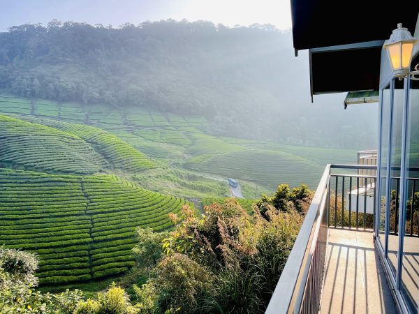 Zero Degree Jungle Resort - Image 5