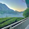 Zero Degree Jungle Resort - Image 8