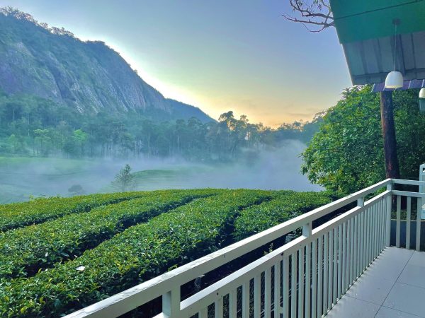 Zero Degree Jungle Resort - Image 8