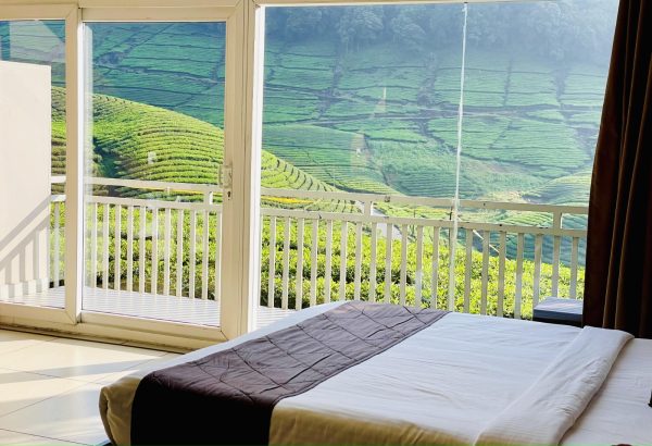 Zero Degree Jungle Resort - Image 7