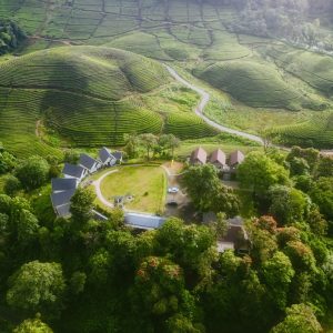Zero Degree Jungle Resort