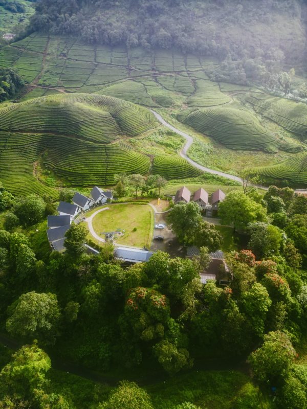 Zero Degree Jungle Resort