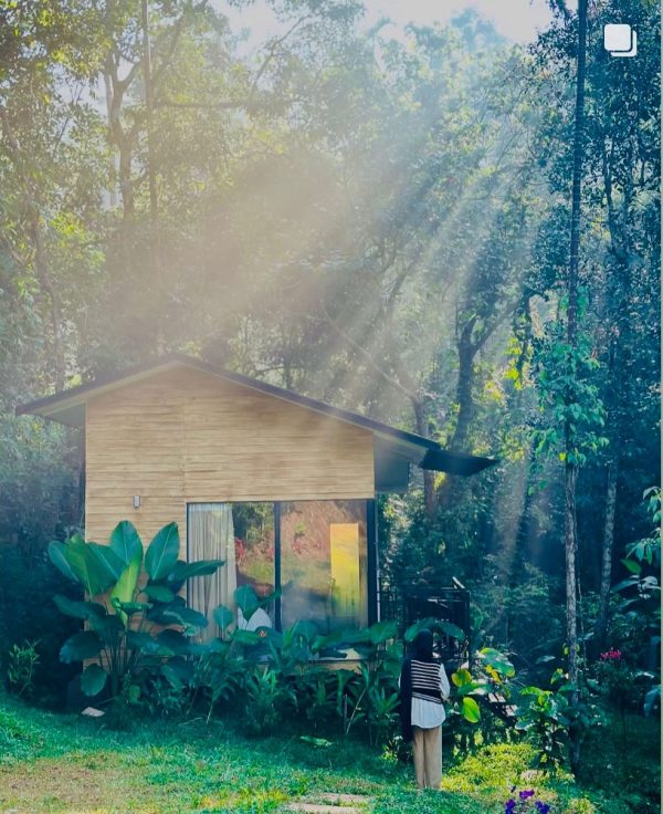 Misty Hideout - Image 13