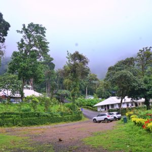 Seven Springs