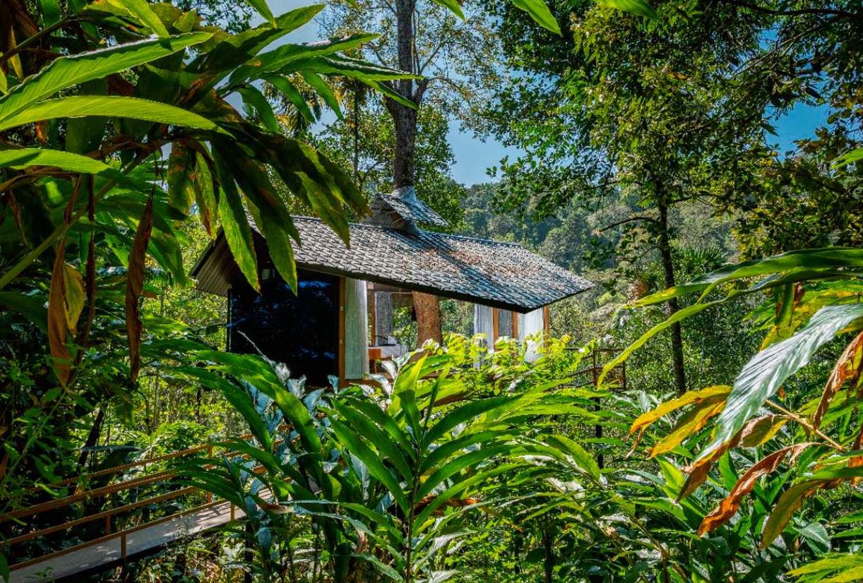 The Flora (Tree House)