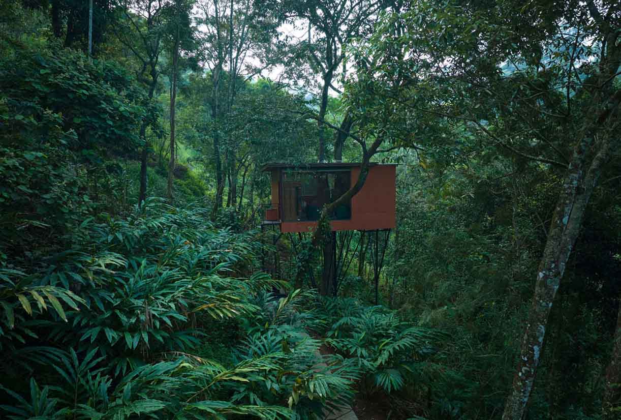 The Loft (Tree House)