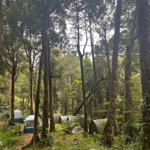Thollayiram kandi Camping