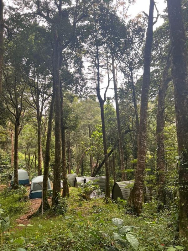Thollayiram kandi Camping