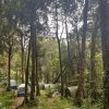 Thollayiram kandi Camping - Image 3