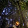 Thollayiram kandi Camping - Image 18