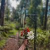 Thollayiram kandi Camping - Image 21