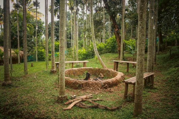 Traditional Mud House and Tree House Homestay Marayoor - Image 2