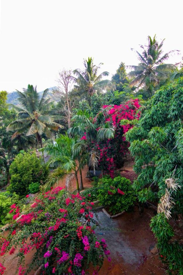 Bamboo Villa Stays with Free Grilling Facilities - Image 17