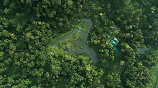 Eco-Friendly Plantation Resort Stay in Munnar - Image 8