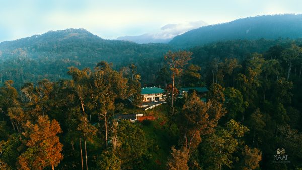 Eco-Friendly Plantation Resort Stay in Munnar - Image 3