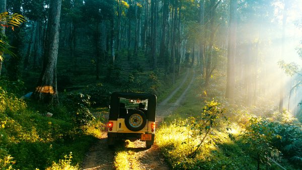 Eco-Friendly Plantation Resort Stay in Munnar - Image 2