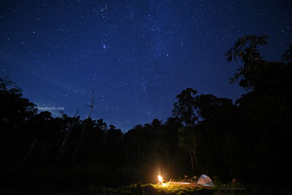 Eco-Friendly Plantation Resort Stay in Munnar - Image 5